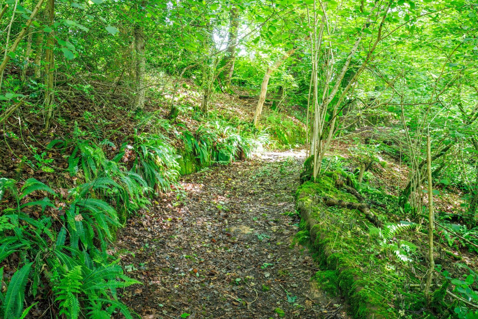 Esgaroth Parc, Llantrisant, Pontyclun CF72 8LQ